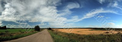 summer green and yellow fields and blue sky panorama