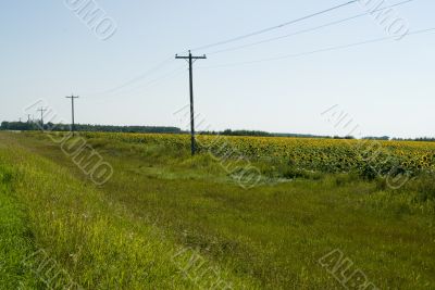 Prairie Ditch