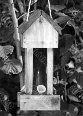 Humming Bird Feeder