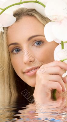 white orchid