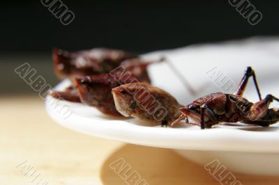 fried grasshoppers