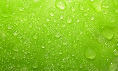 Close-up green apple with waterdrops