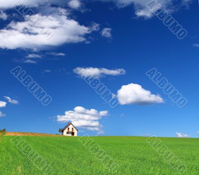 house in grass field