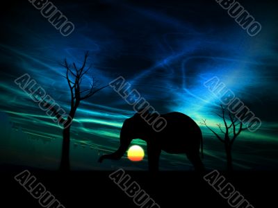 Elephant Sunrise