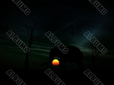 Elephant Sunrise