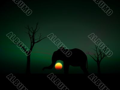 Elephant Sunrise