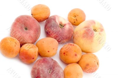 apricot and peach close up