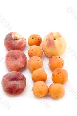 Colored apricot and peach