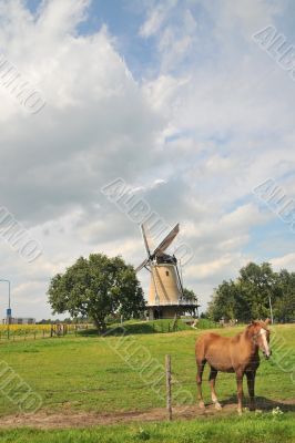 Dutch landscape