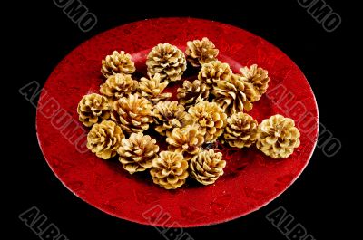 Pine cones for christmas