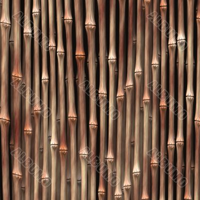 Bamboo plants