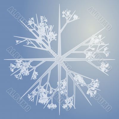 Snowflake illustration
