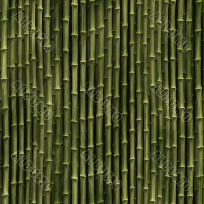 Bamboo plants