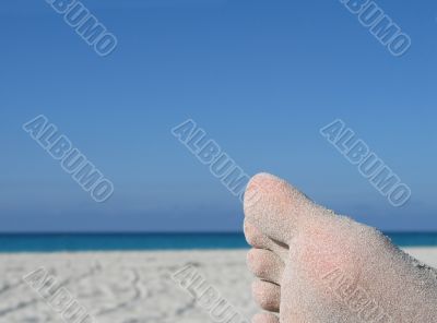sandy foot on the beach