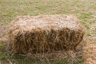 Hay Bale