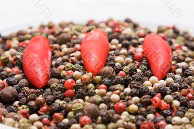 Peppercorns and Chillies