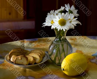 Still life