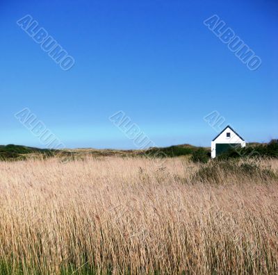 A hut in the dunes