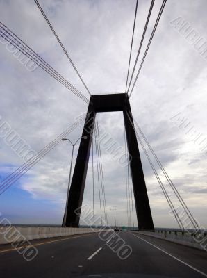 Spider Webbed Bridge