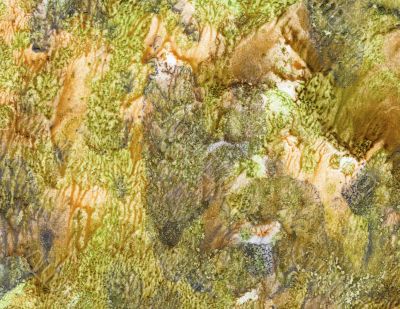 background, green-brown