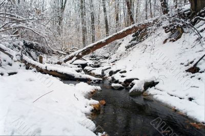 Winter in Washington DC, Rock Creek park