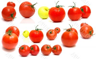 tomatoes