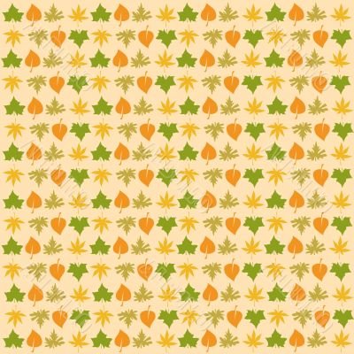colored leaves
