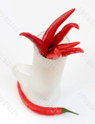 red peppers in a frosted glass isolated