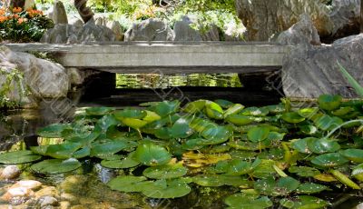 Foot Bridge