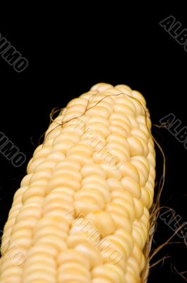 corn on black closeup