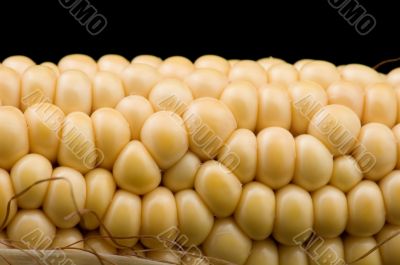 corn on black macro