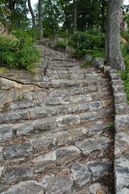 Stone Stairs in Woods