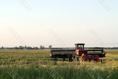 Harvest Time