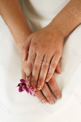 Hands of the bride
