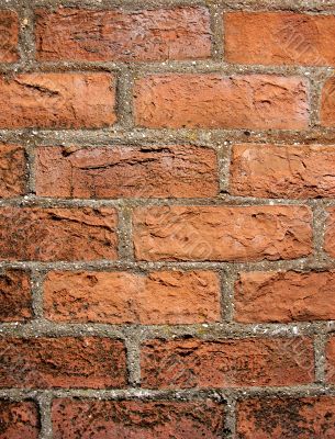 Brick Wall