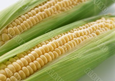 nice corn