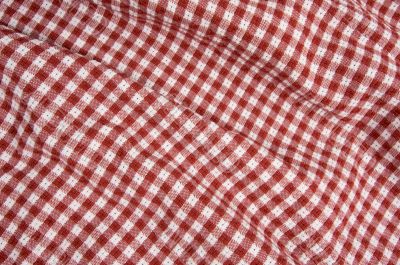 Red and White Picnic Blanket