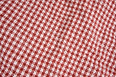 Red and White Picnic Blanket