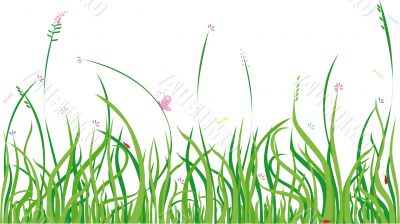 summer grass