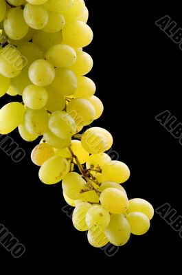 grapes on black background