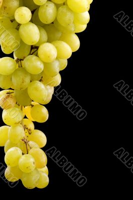 grapes on black