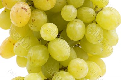 grapes on white