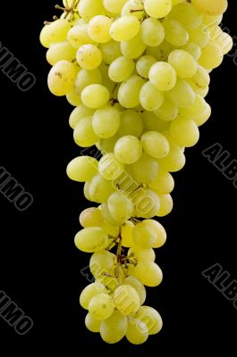Green grapes on black
