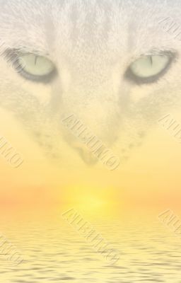 Cat Dreams