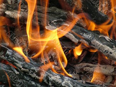 Wood burning on fire.