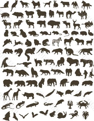 100 animals