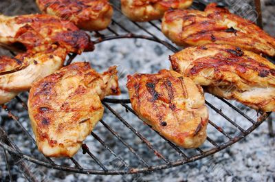 Chicken