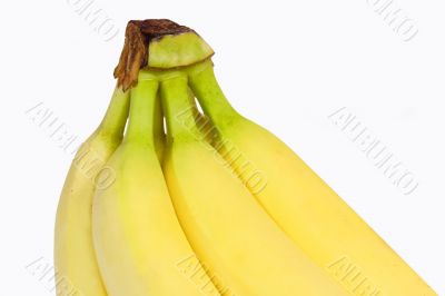 Bananas in detail