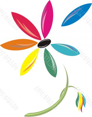 flower 7 colors