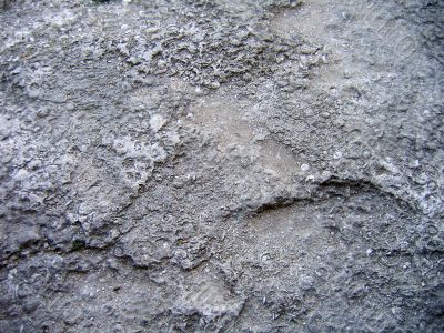 Concrete tecture